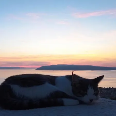 Kostela Makarska