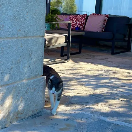 Kostela Villa Makarska